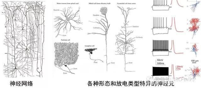中國腦健康日關注“頭”等大事，中國腦科技的未來是什么？